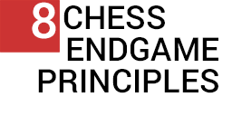 Chess Endgame Principles